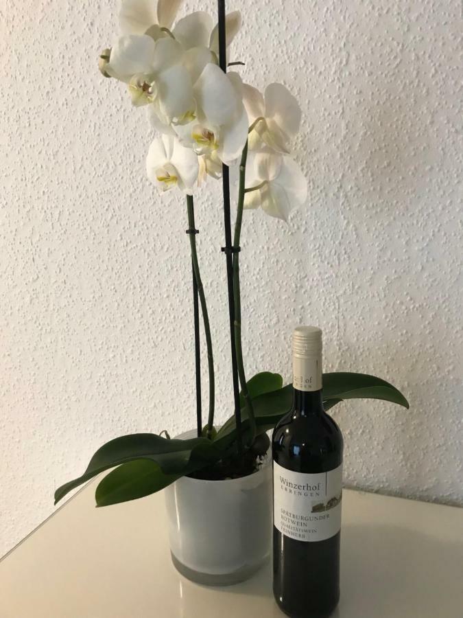 Ferienwohnung Gasser Ebringen Zewnętrze zdjęcie